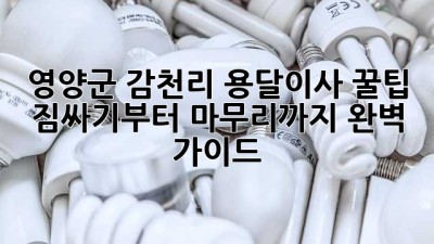 영양군 감천리 용달이사 꿀팁🍯 : 짐싸기부터 마무리까지 완벽 가이드!